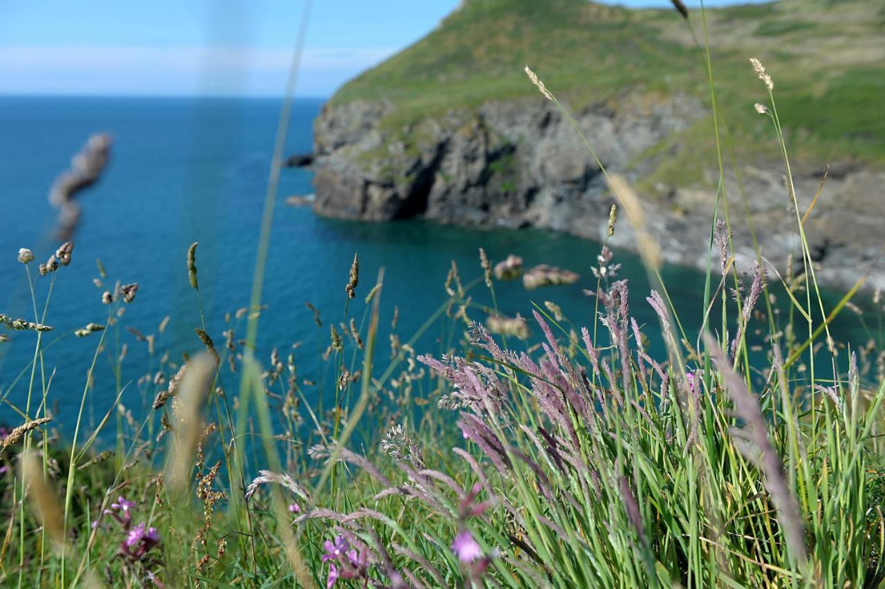 Tranquil Cornish Retreat Close To Port Isaac Beaches And Moor Bodmin Exteriör bild