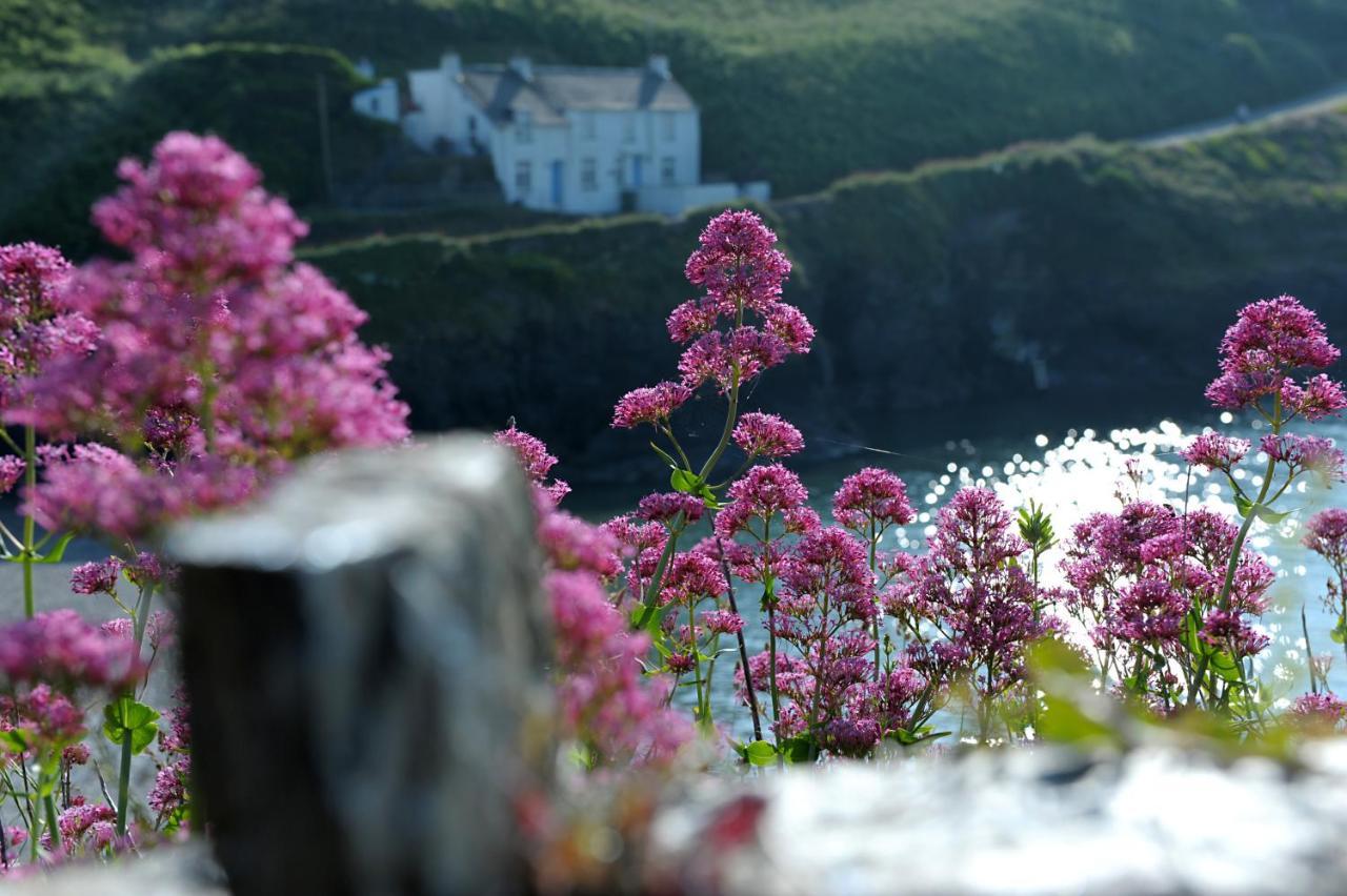 Tranquil Cornish Retreat Close To Port Isaac Beaches And Moor Bodmin Exteriör bild