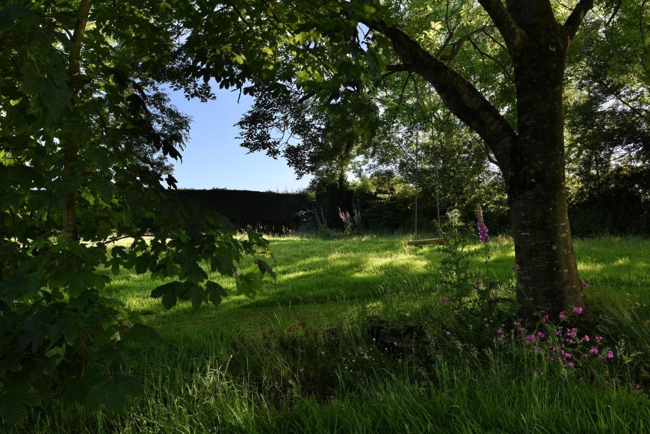 Tranquil Cornish Retreat Close To Port Isaac Beaches And Moor Bodmin Exteriör bild